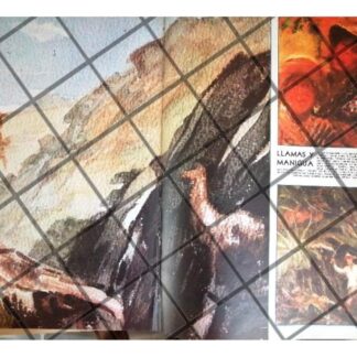 AFICHE RETRO PINTOR ARTURO REQUE MERUVIA EN MEXICO 1956