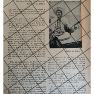 AFICHE RETRO. LAS PELEAS DE GALLOS EN MEXICO 1955