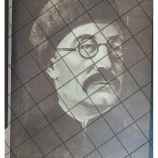 AFICHE RETRO MARISCAL. PAVEL A. ROTMISTROV 1944