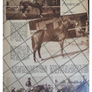 AFICHE RETRO HIPODROMO DE LAS AMERICAS HANDICAP PRESID.