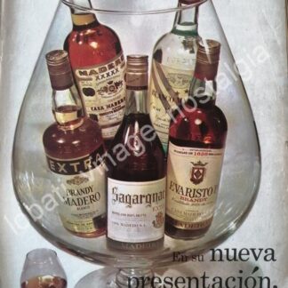 CARTEL ANTIGUO ORIGINAL DE VINOS DE LA CASA MADERO 1967 /V271