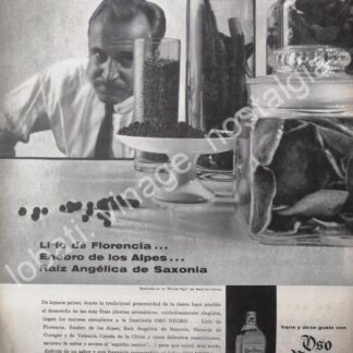 CARTEL ANTIGUO ORIGINAL DE GINEBRA OSO NEGRO 1959 /V280