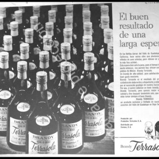 CARTEL ANTIGUO ORIGINAL DE BRANDY TERRASOLA 1967 / RARO