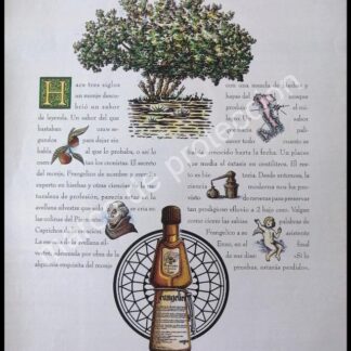 CARTEL ANTIGUO ORIGINAL DE VINOS FRANGELICO 1980s ESPAÑA