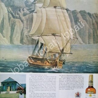 CARTEL ANTIGUO ORIGINAL DE VINOS WHISKY CANADIAN CLUB 1950s /495