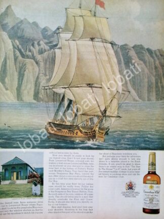 CARTEL ANTIGUO ORIGINAL DE VINOS WHISKY CANADIAN CLUB 1950s /495