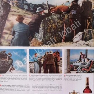 CARTEL ANTIGUO ORIGINAL DE VINOS WHISKY CANADIAN CLUB 1948 /493