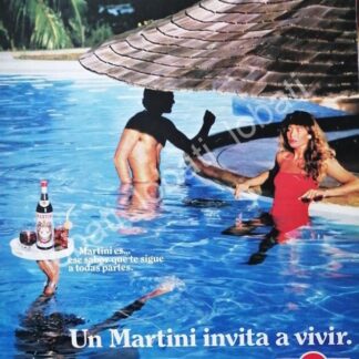 CARTEL ANTIGUO ORIGINAL DE VINOS MARTINI VERMOUTH 1980s /381