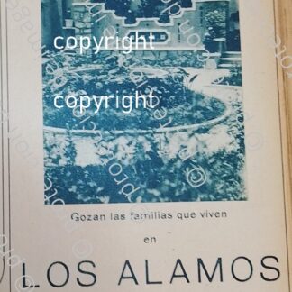 CARTEL ANTIGUO. CONSTRUYEN COLONIA LOS ALAMOS D.F 1930 /BIENES RAICES /4