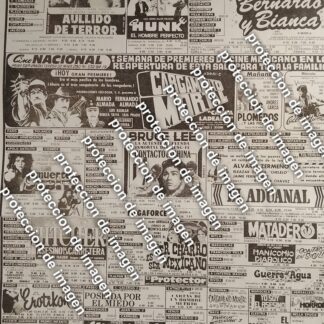 AFICHE CARTELERA DE CINE RETRO OCT 1987 BRUCE LEE Y OTROS