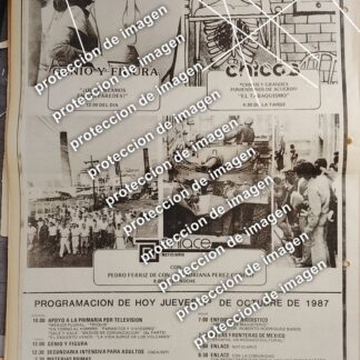 AFICHE VINTAGE, PROGRAMACION CANAL 11 /TELEVISORAS 1987 PEDRO FERRIZ Y MAS