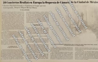 AFICHE RETRO. ORQUESTA DE CAMARA DE BERNAL MATUS EN EUROPA 1987 /MUSICOS