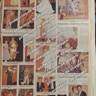 AFICHE RETRO, FIESTA DAMAS DEL CLUB ROTARIO VALLE - NARVARTE 1987 Y OTROS /ASM