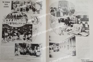 HOJA PRENSA ANTIGUA 1911 ESCUELA PRIMARIA PENSADOR MEXICANO D.F /ESCUELAS