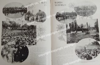 AFICHE ANTIGUO 1911 FRANCISCO I MADERO EN CAMPAÑA EN XOCHIMILCO /POLITICOS