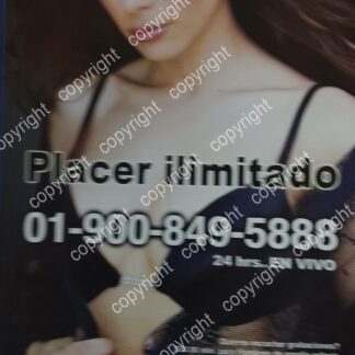 CARTEL PUBLICITARIO RETRO. LA LINEA EROTICA / LIDETEL 2005 /2