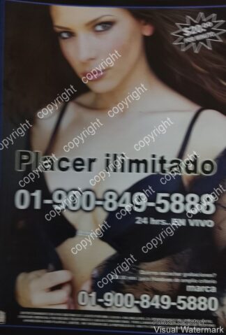 CARTEL PUBLICITARIO RETRO. LA LINEA EROTICA / LIDETEL 2005 /2