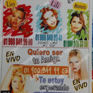 CARTEL PUBLICITARIO RETRO. LINEA AROTICA 2005