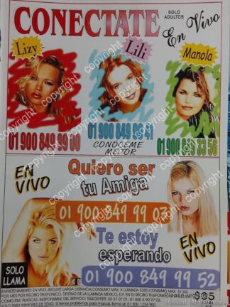 CARTEL PUBLICITARIO RETRO. LINEA AROTICA 2005