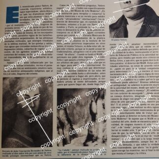 AFICHE RETRO. EL PINTOR NEFERO. IGNACIO LOPEZ BELTRAN 1977 /PINTORES