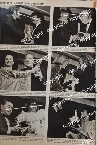 AFICHE RETRO. PREMIOS LA DIOSA DE PLATA 1972 /ESPECTACULOS