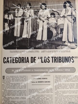 AFICHE RETRO. EL GRUPO MUSICAL. LOS TRIBUNOS 1977 /MUSICOS UNAM