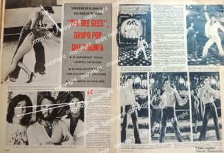 AFICHE RETRO. LOS BEE GEES TRIUNFAN 1979 /CANTANTES ARTISTAS