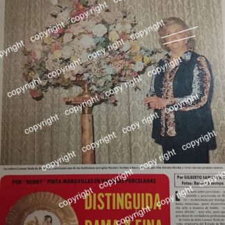 AFICHE RETRO. SOBRE LEONOR ROTH DE BRECEDA 1979 /ARTISTAS