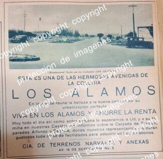 CARTEL ANTIGUO. CONSTRUYEN COLONIA LOS ALAMOS D.F 1931 /BIENES RAICES /17