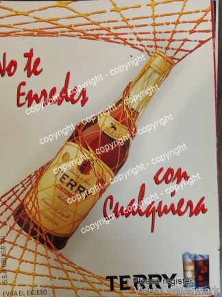 Cartel de publicidad retro BRANDY TERRY CENTENARIO 1980s