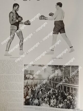 AFICHE ANTIGUO. FUNCION DE BOX 1912 D.F / DEPORTES
