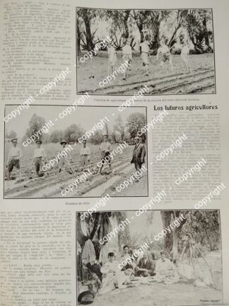 AFICHE ANTIGUO. BREVE NOTA ESCUELA DE AGRICULTURA ( U. CHAPINGO) 1912