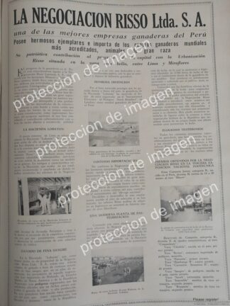 CARTEL DE PUBLICIDAD ANTIGUA DE PERU, GRUPO RISSO LTDA. GANADERIA 1936