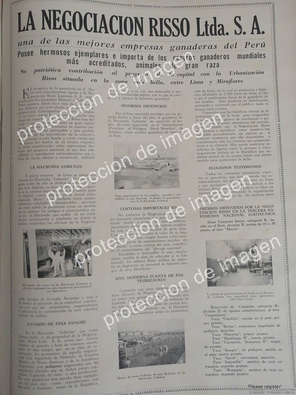 CARTEL DE PUBLICIDAD ANTIGUA DE PERU, GRUPO RISSO LTDA. GANADERIA 1936