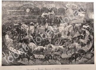 GRABADO ANTIGUO 1895 EL CIRCO EN EUROPA /23